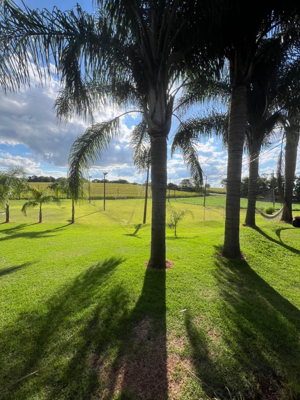 Spring, Day, Natural landscape, Garden, Garden view