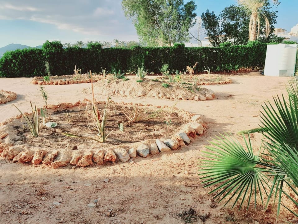 Property building, Day, Garden, Garden view