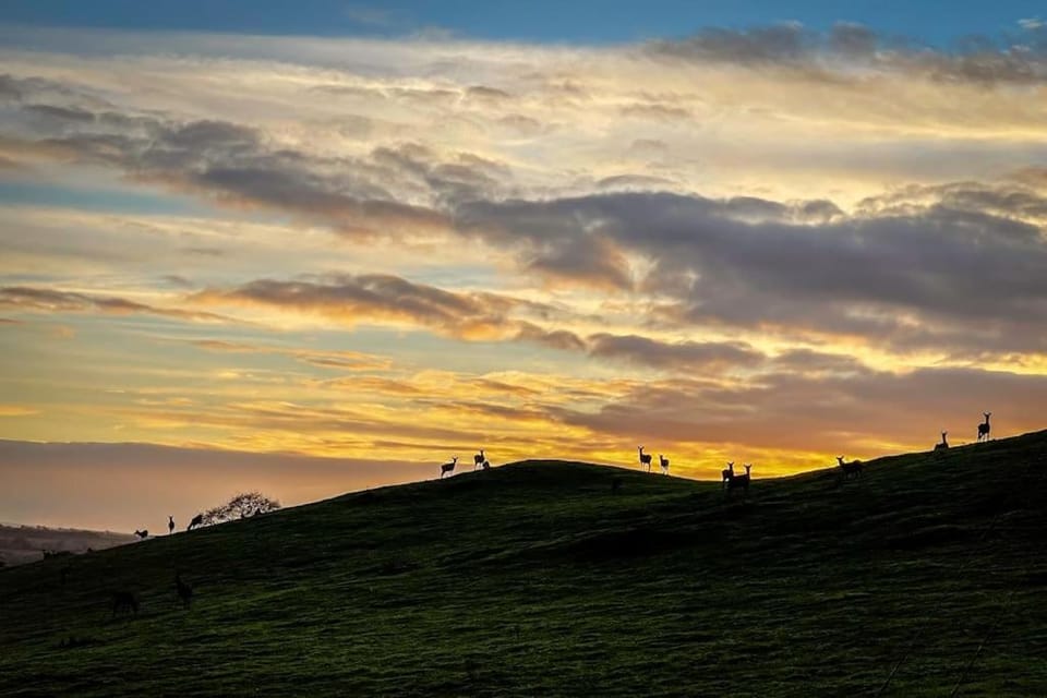 Natural landscape, Mountain view