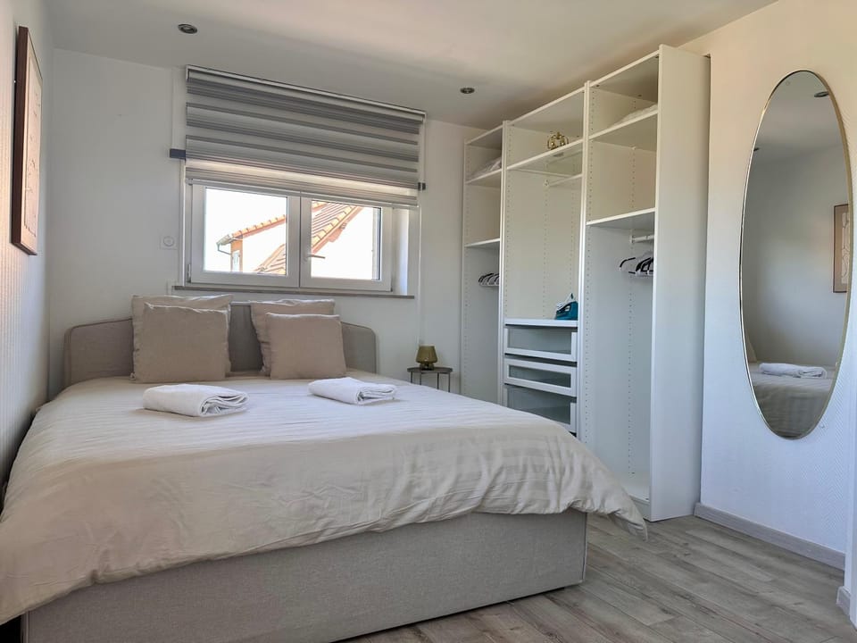 Magnifique Logement indépendant 5 min Colmar parking wifi CLIMATISATION Apartment in Grand Est