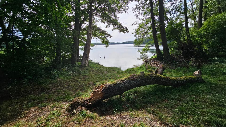 Natural landscape