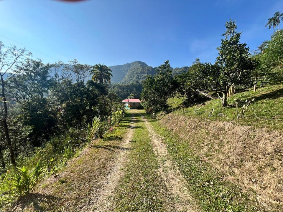 Natural landscape