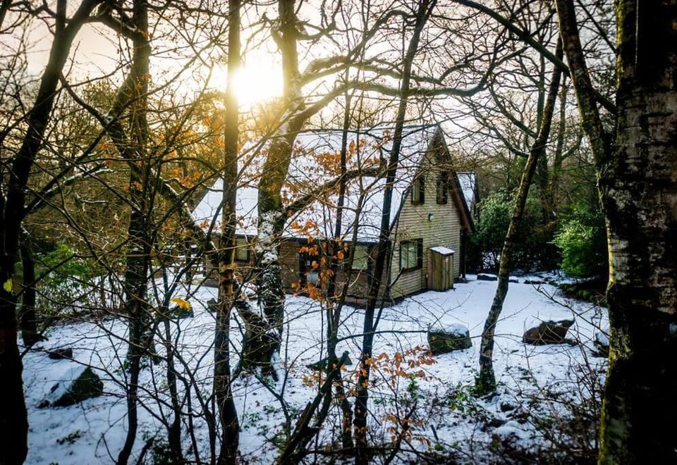 Natural landscape, Winter