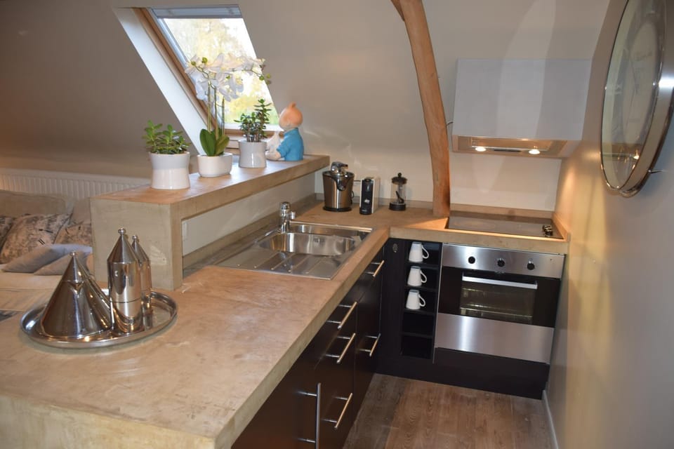 Kitchen or kitchenette, minibar, pet friendly, stove