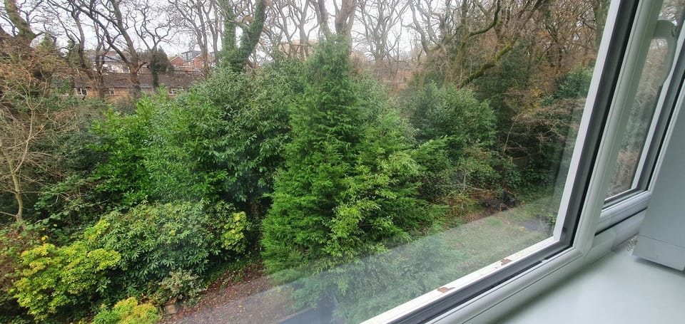 Spring, Day, Garden, Garden view