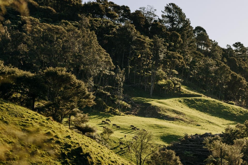 Natural landscape