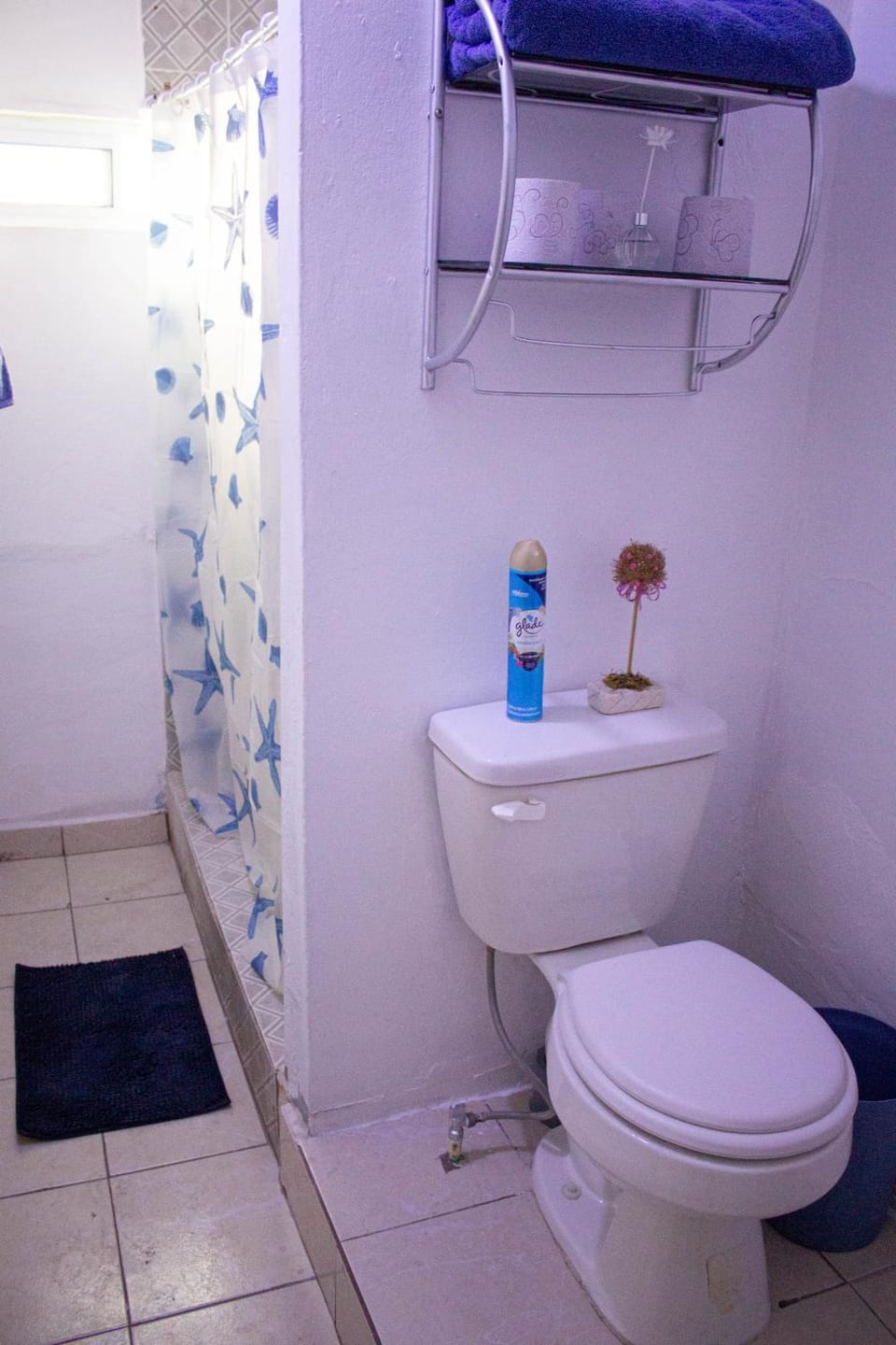 Toilet, bidet