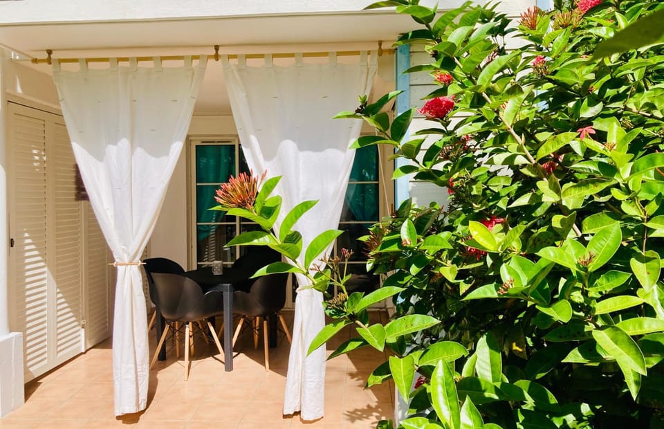 Patio, Dining area