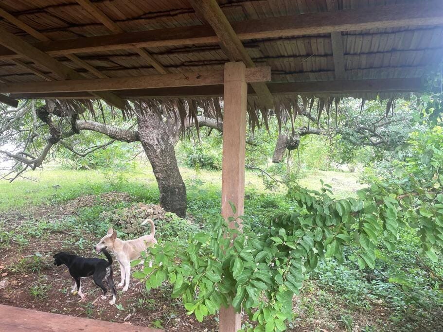 not possible House in Northern Mindanao