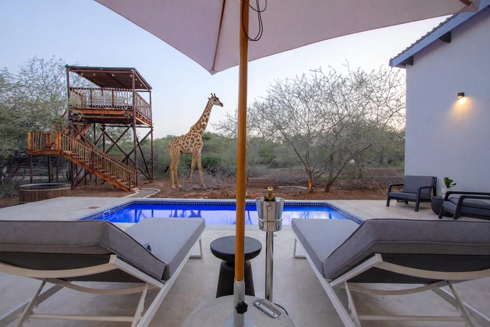 Patio, Day, Natural landscape, Pool view, Swimming pool, sunbed