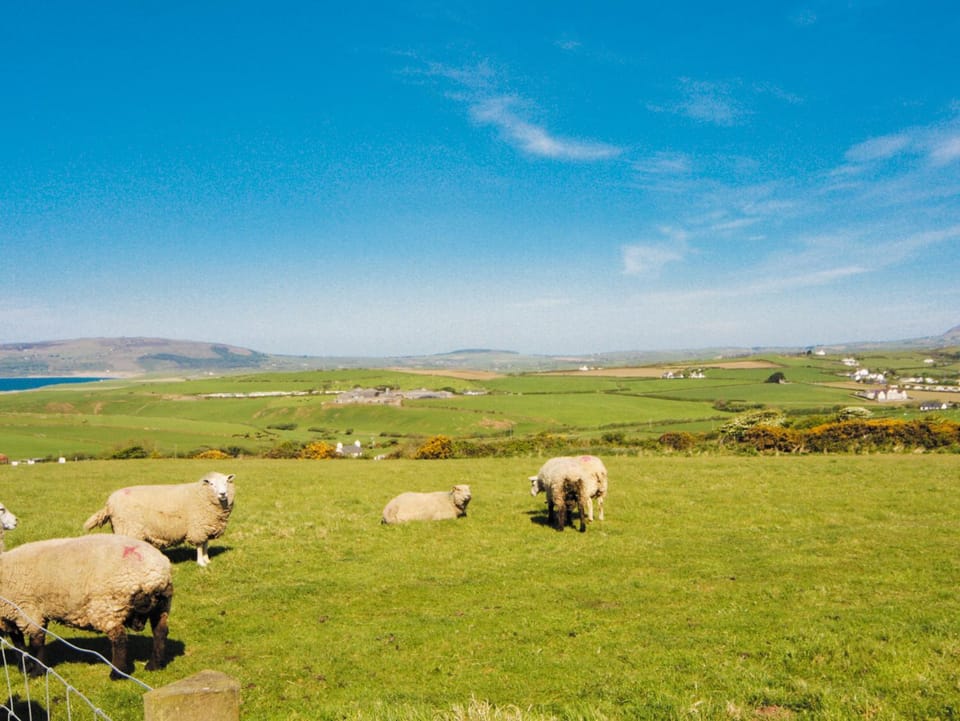 View (from property/room)