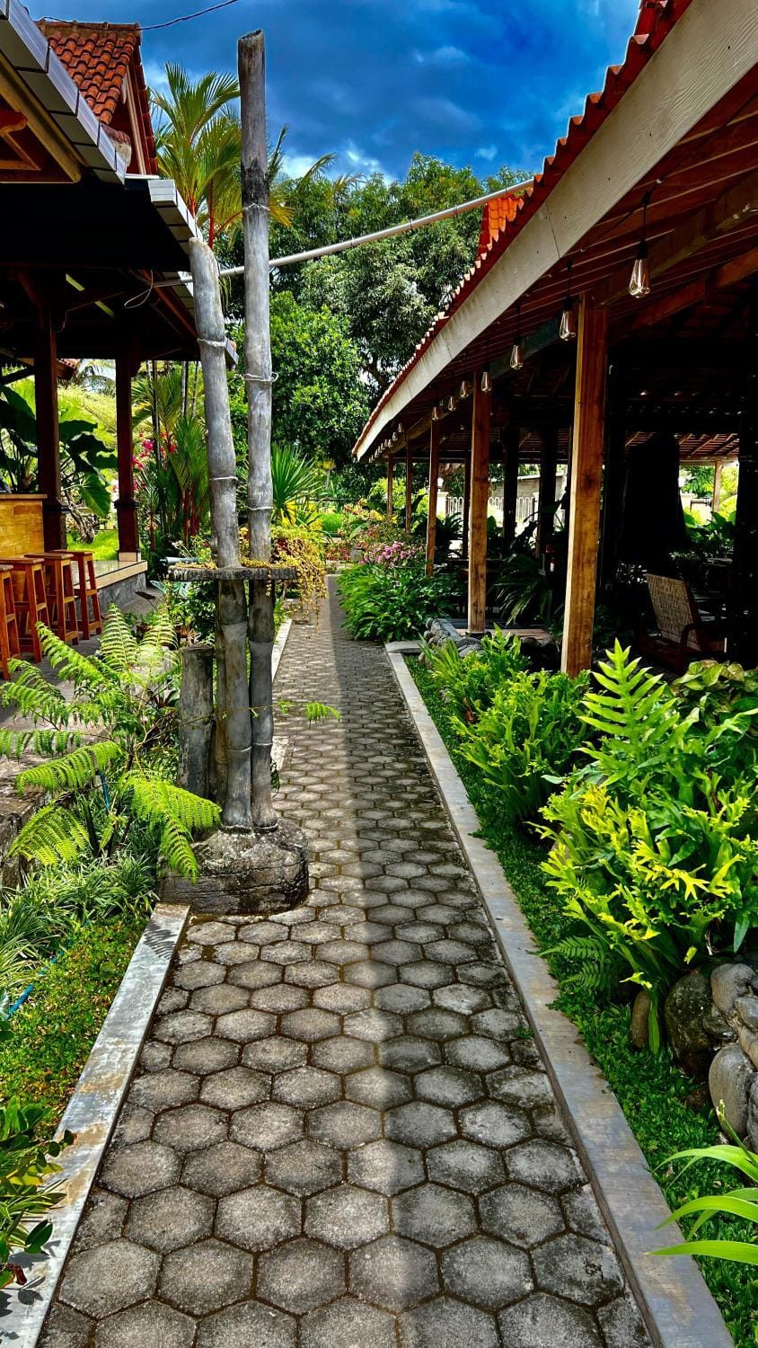 Garden, Garden, Garden view
