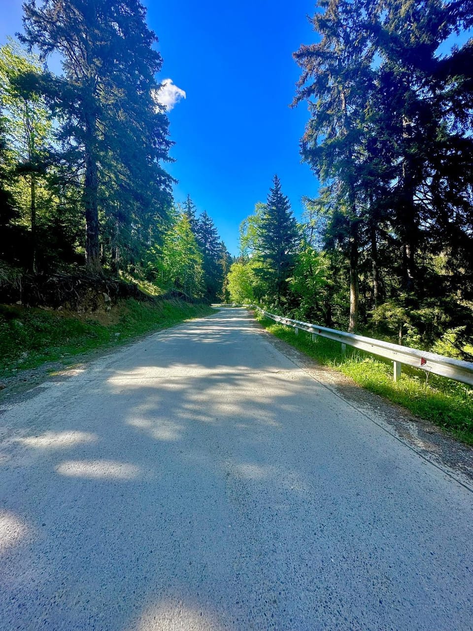 Natural landscape