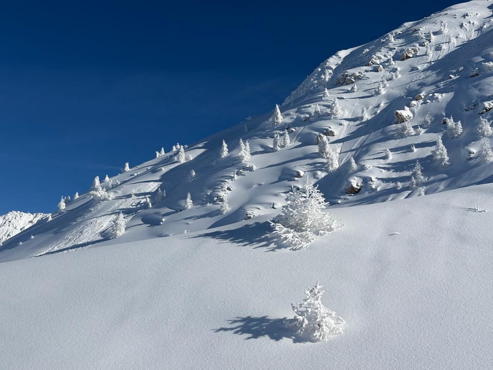 3 Chalets Paradiski, les Arcs Peisey Vallandry - 10 personne x 3 Chalet in Peisey-Nancroix