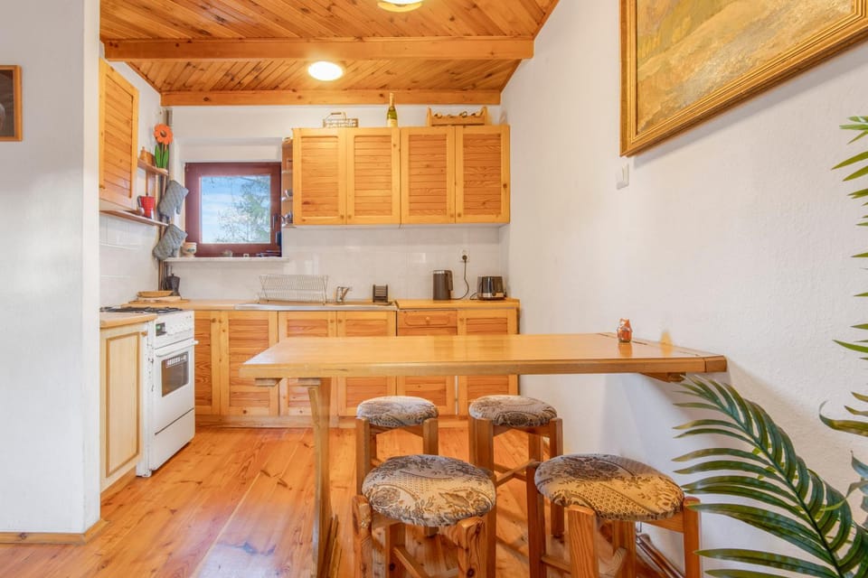 Kitchen or kitchenette, Dining area, oven, toaster