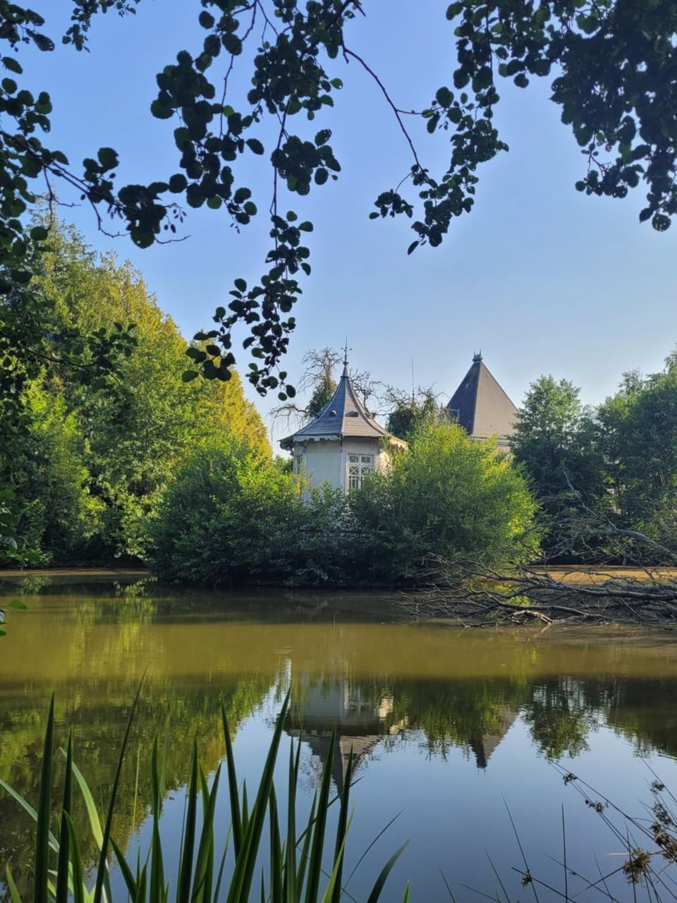 Natural landscape, Garden, Garden view, Lake view