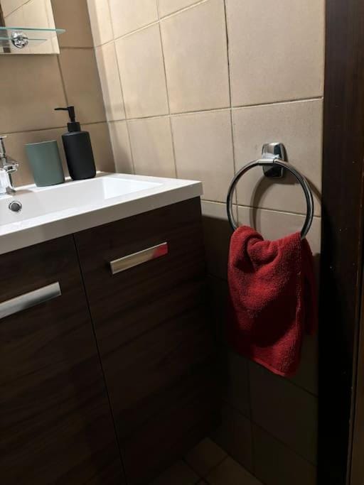 Studio douillet esprit chalet Apartment in Grand Est