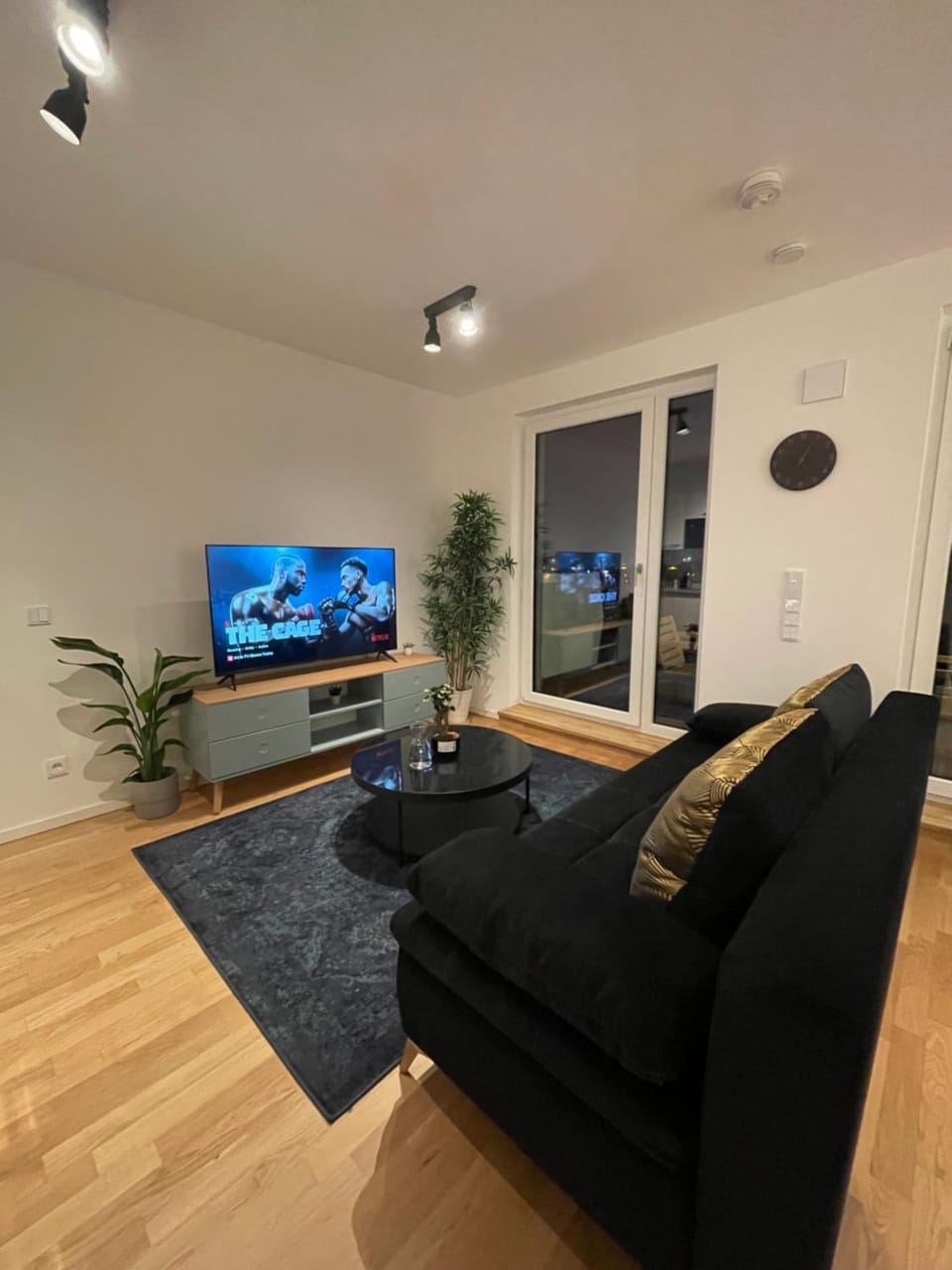 TV and multimedia