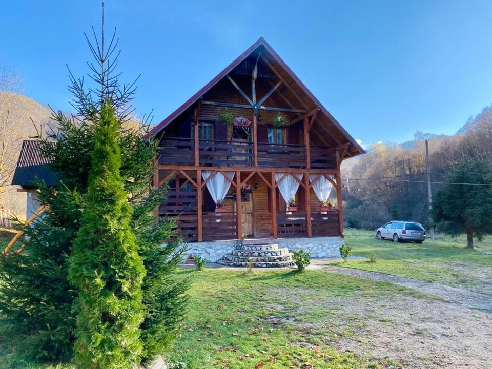 Cabana Mădălin House in Cluj County