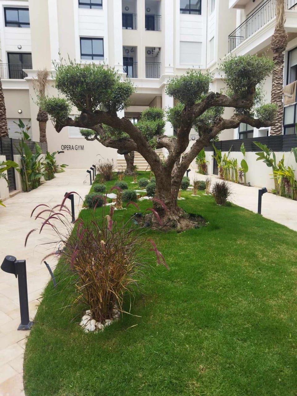 Olfa cosy appart Apartment in Tunis Governorate, Tunisia