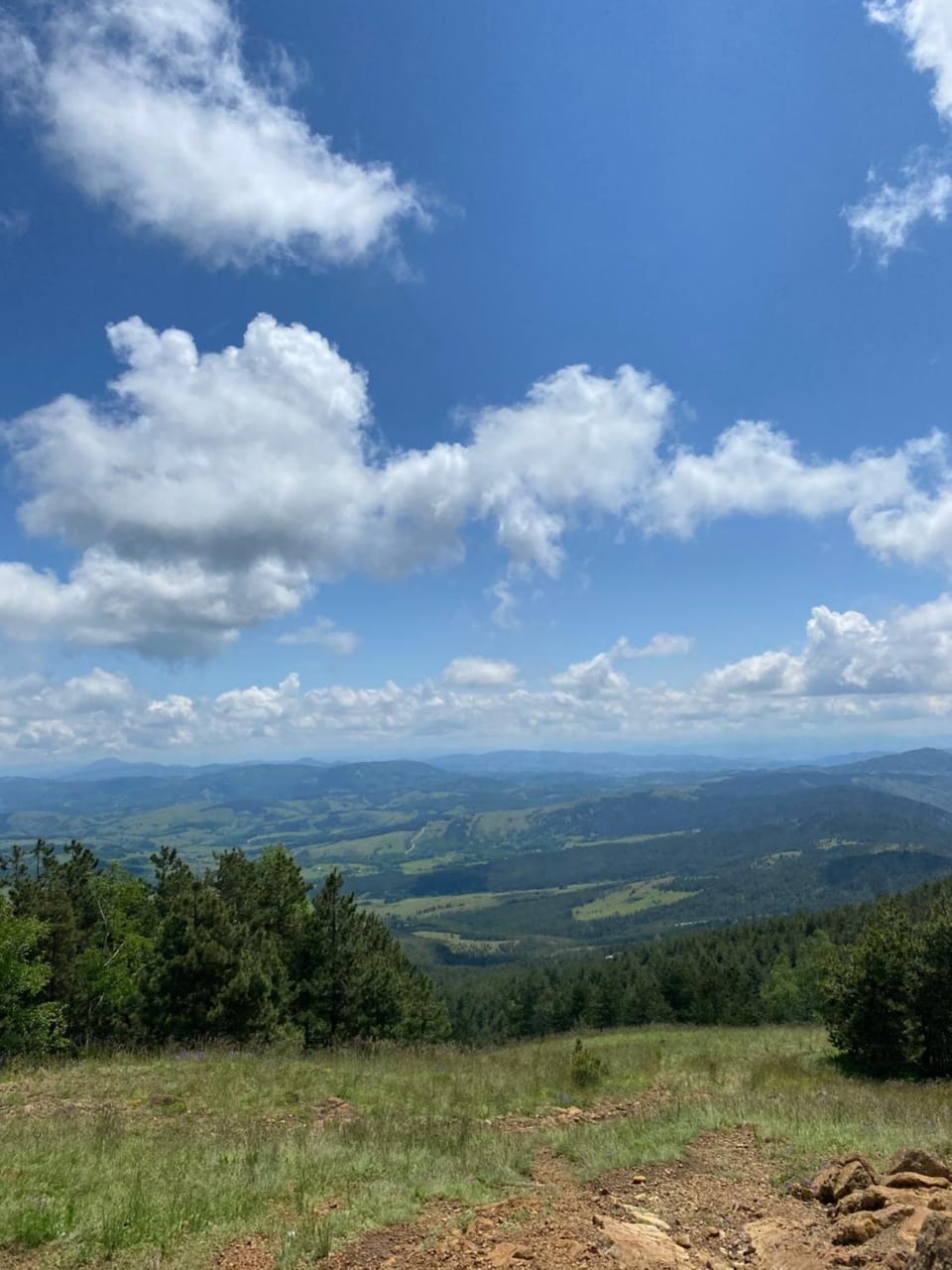 Vila Marina Divčibare Apartment hotel in Zlatibor District, Serbia