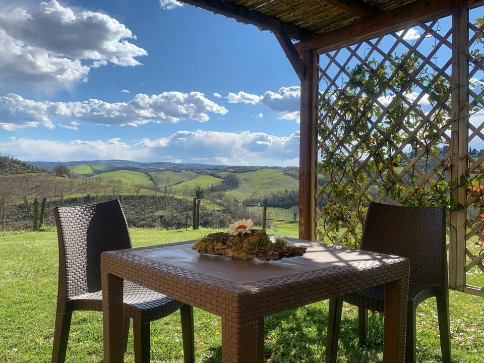 Patio, Garden, Garden view