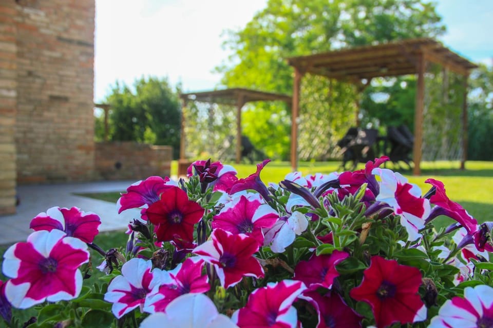 Patio, Garden