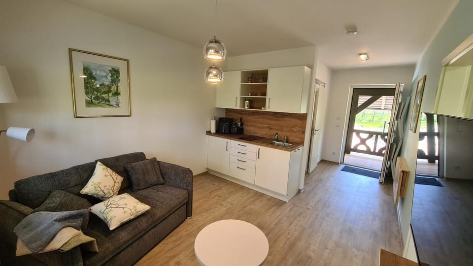 Kitchen or kitchenette, Living room