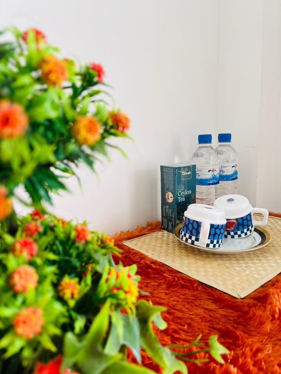 Sleepy Heaven Negombo Bed and Breakfast in Negombo
