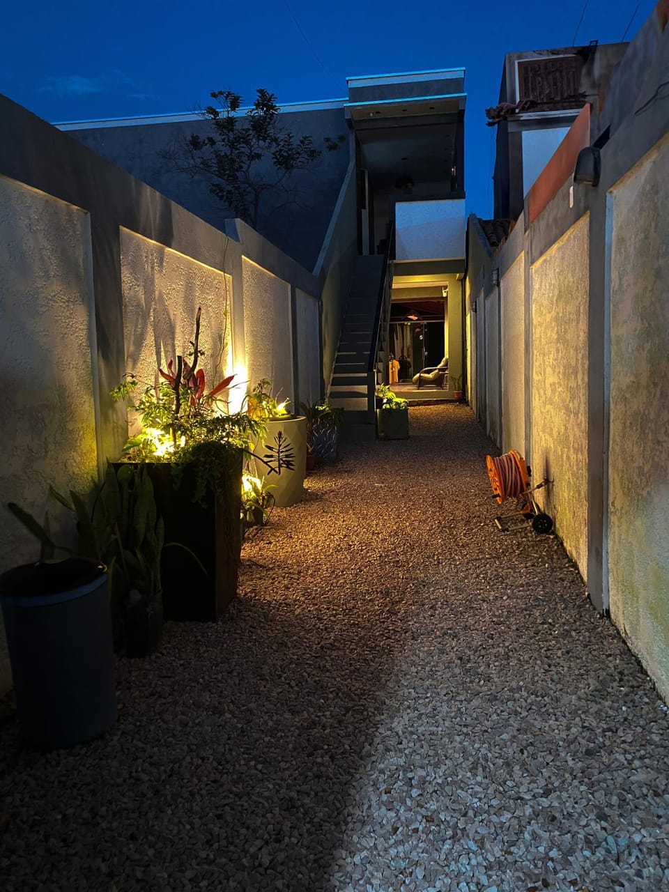 Night, Garden, Garden view