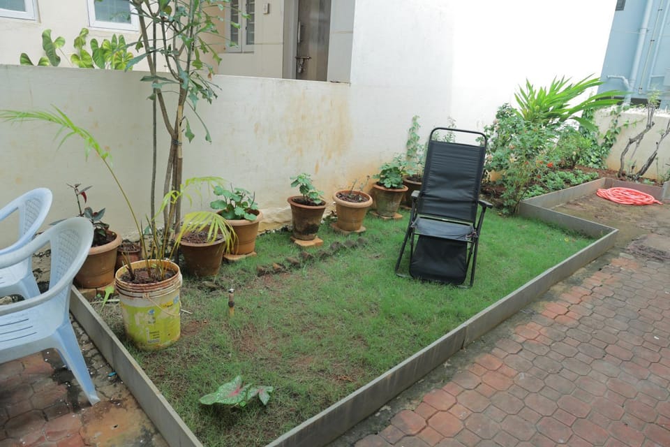 Day, Garden, Garden view