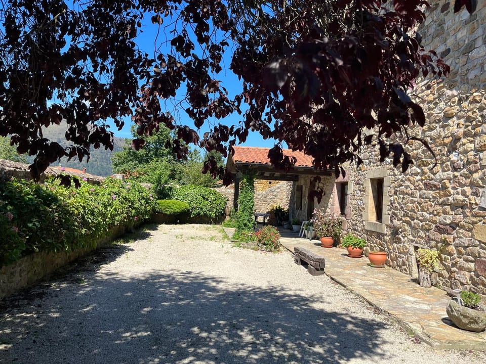 Property building, Garden, Garden view