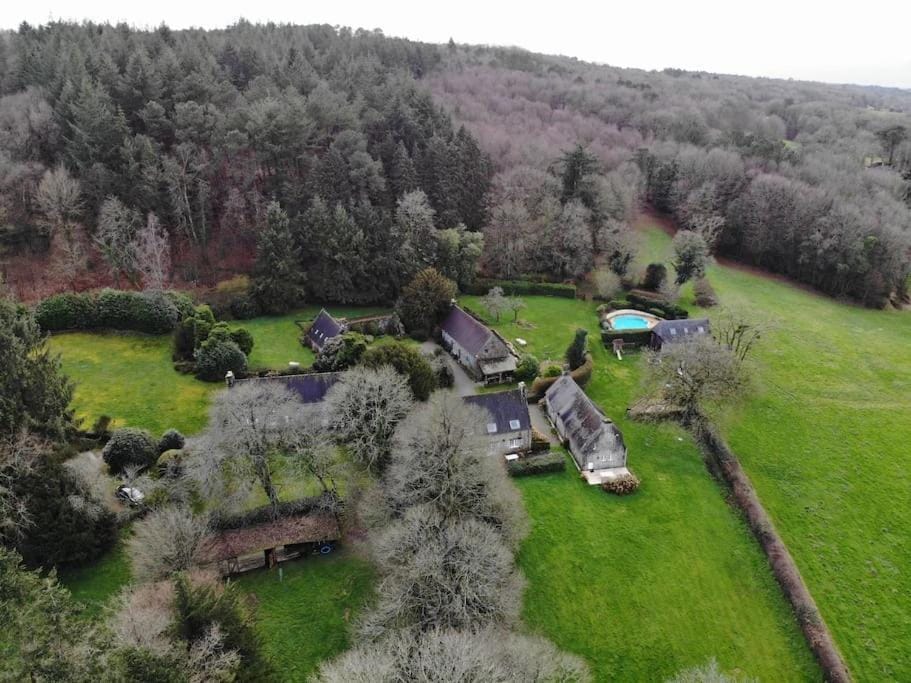 Neighbourhood, Natural landscape, Bird's eye view, Garden, Pool view