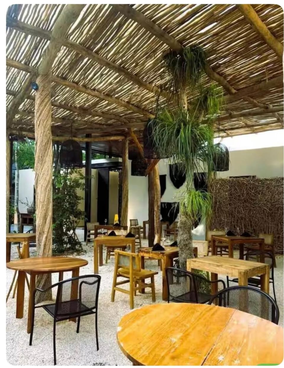 Mini suite con alberca y aire acondicionado en zona tranquila de Tulum Apartment in State of Quintana Roo