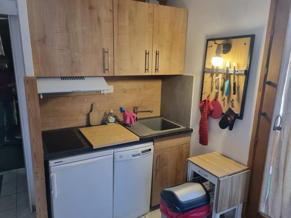 Kitchen or kitchenette, dishwasher, stove