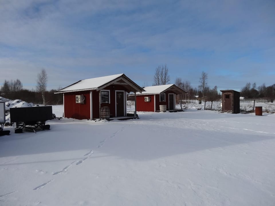 Property building, Winter, Winter, Garden