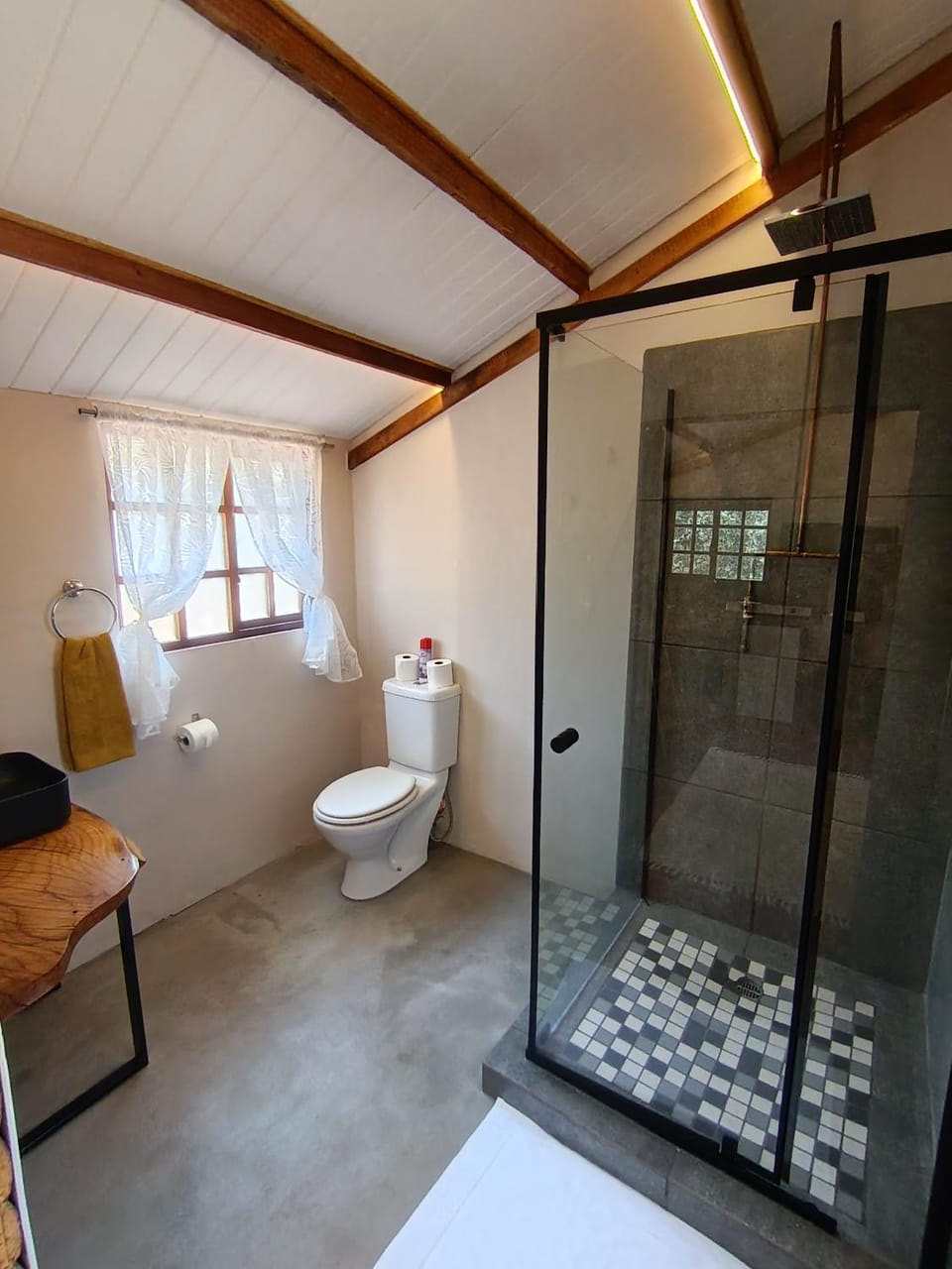 Shower, Toilet, Bathroom