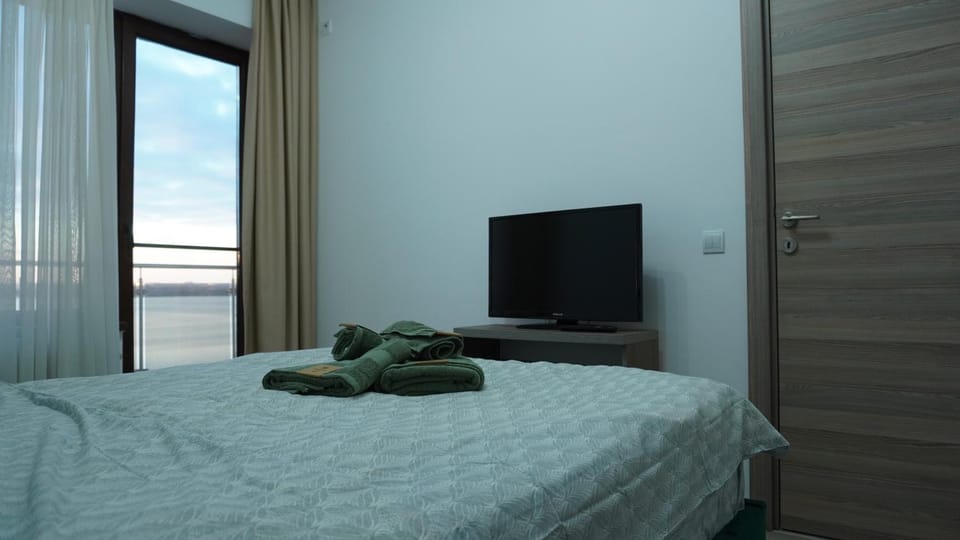 TV and multimedia