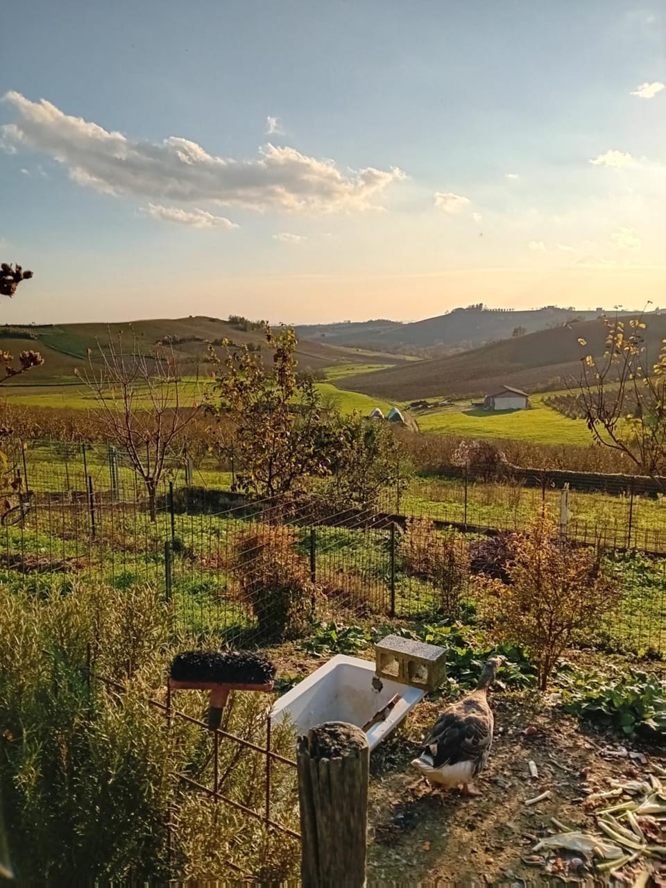 Bricc e Foss Bed and Breakfast in Piedmont