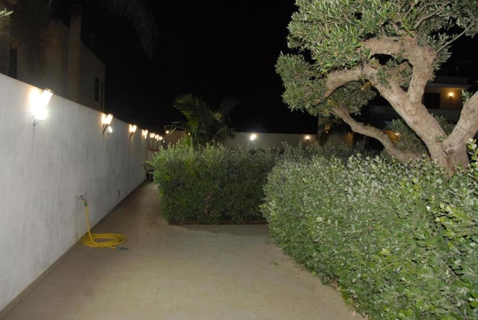 Night, Garden, Garden view