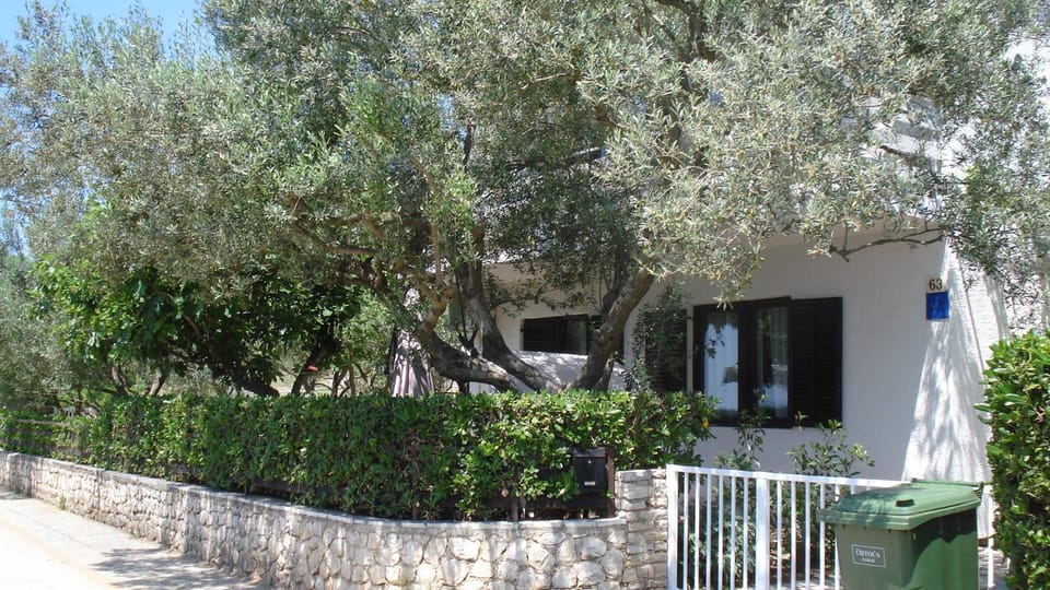 Apartments with garden Apartment in Zadar County