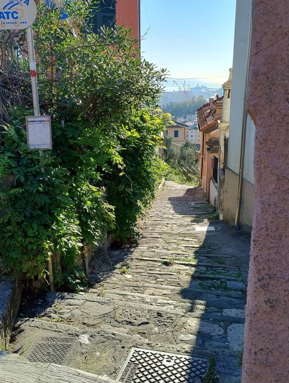 Neighbourhood, Street view