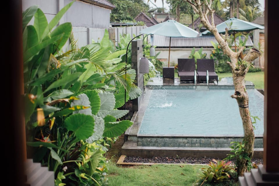 Garden view, Pool view, Swimming pool, Swimming pool