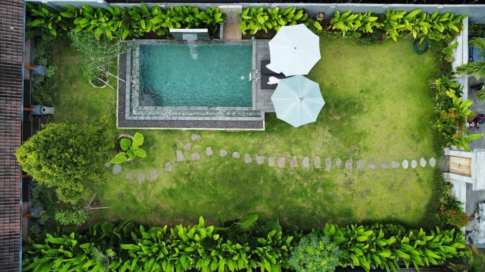 Spring, Day, Bird's eye view, Garden, Garden view, Swimming pool, sunbed