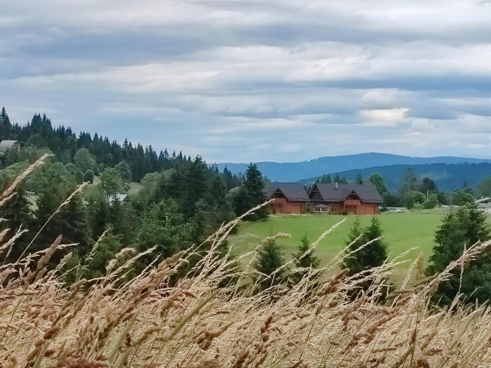 Property building, Neighbourhood, Natural landscape