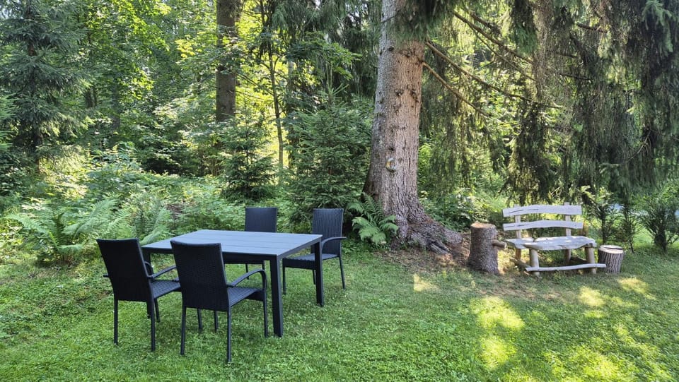 das historische MEIXNER am Rerobichl Bezirk Kitzbühel Apartment in Salzburgerland