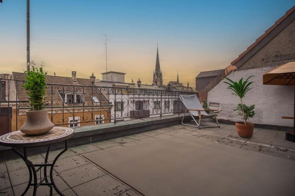 Penthouse in Basel Center with free BaselCard Apartment in Basel