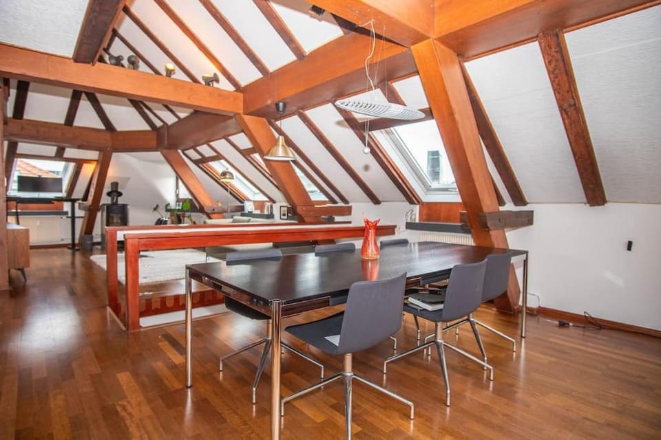 Penthouse in Basel Center with free BaselCard Apartment in Basel