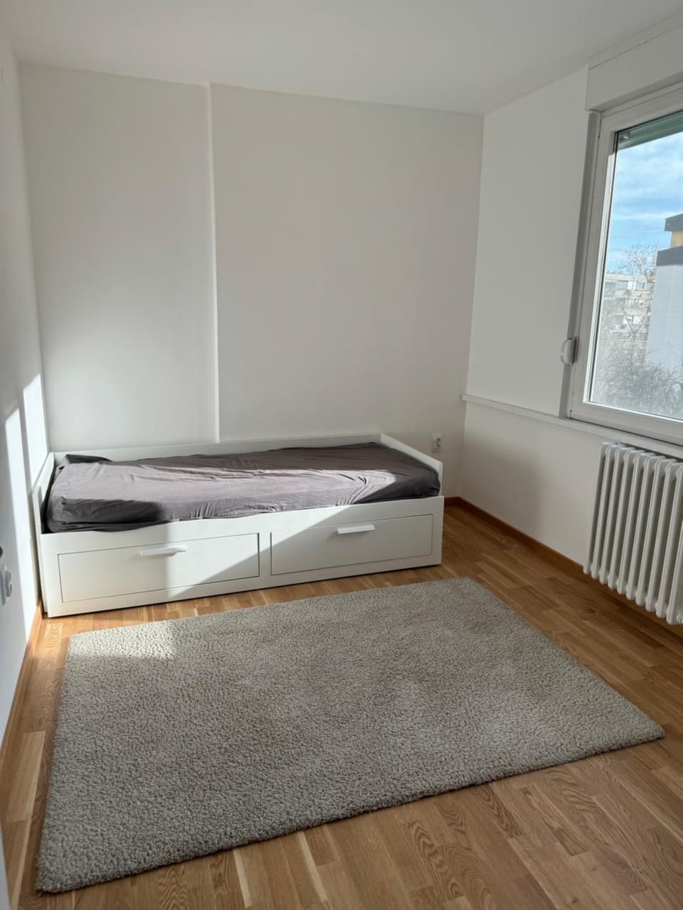 Apartman Štrand Apartment in Novi Sad