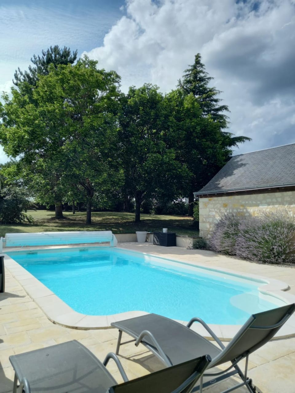 Garden, Pool view, Swimming pool